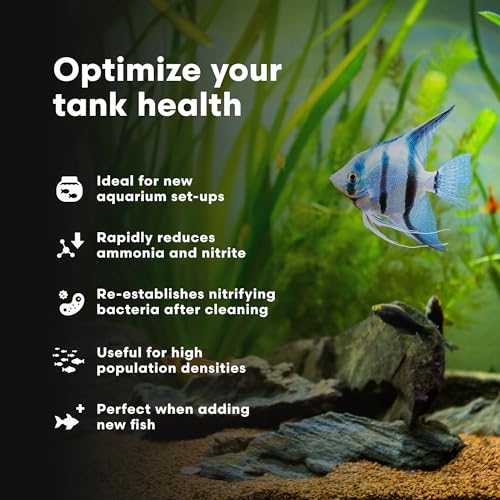 Brightwell Aquatics MicroBacter Start XLF - Concentrated Freshwater Nitrifying Bacteria - Quick Start Fish Tank Starter, L...