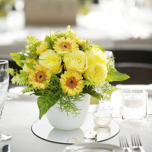 VASUHOME 12" Round Mirror Centerpieces for Tables, Glass Circle Mirror Plates with Smooth Edge and Cushioned Feet, Ideal f...