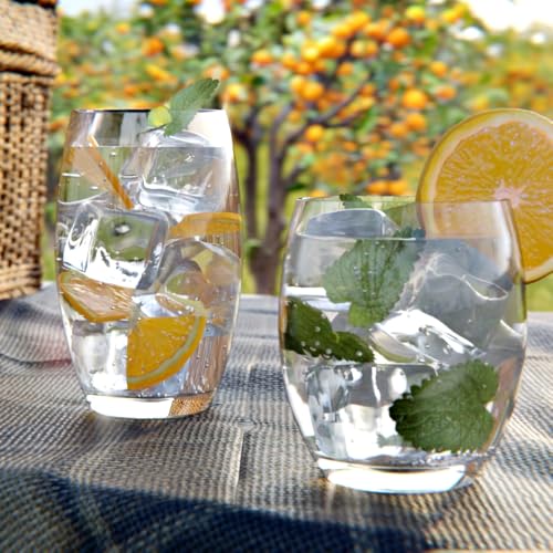 Amazing Abby - Fraternity - 12-Ounce and 16-Ounce Plastic Tumblers (Set of 8), Plastic Drinking Glasses, All-Clear Reusabl...