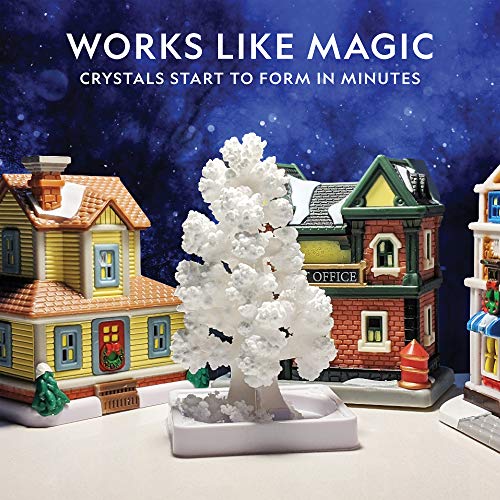National Geographic Craft Kits for Kids - Crystal Growing Kit - Grow a Crystal Garden in Just 6 Hours, Educational Craft I...