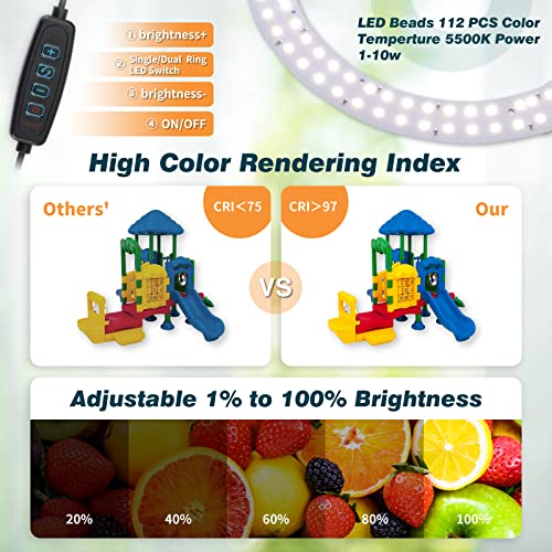 Photo Box, PULUZ Mini Folding Lightbox Portable Light Box Photography Shooting Tent Box Kit with 120pcs LED Lights 6 Color...