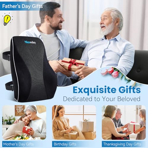 Niceeday Lumbar Support Pillow for Office Chair Car Back Support Pillow, Memory Foam Gaming Chair Desk Chair Back Cushion ...