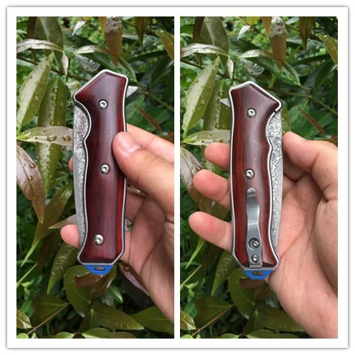 ALBATROSS Premium Damascus Folding Knife - EDC Pocket Knife with Cocobolo Wood Handle, 3.5" Blade, Liner Lock System - Out...