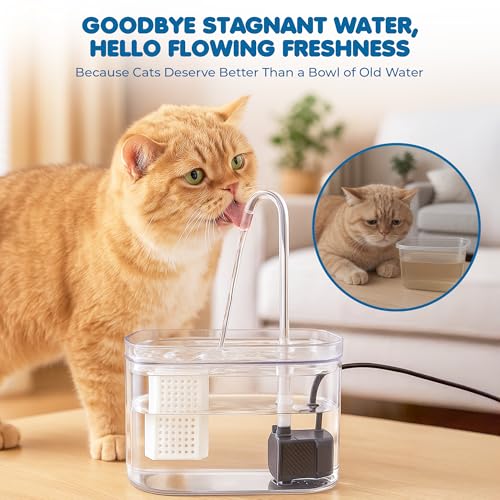 SunGrow Cat Water Fountain, Automatic Flowing Hydration Station with Filter & Silent USB Pump, Easy-to-Use Transparent Fee...