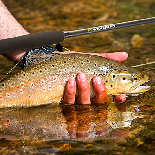 Fly Fishing Rod and Reel Combo - Including Carrying Case, Flies, and Fishing Line - Charter Series Gear and Accessories by...