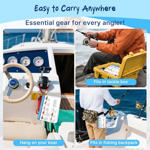 OCQOTAT Florida Saltwater Fish& Shark Identification Set–4 Double-Sided Waterproof Quick-Reference Fishing Guide Cards wit...