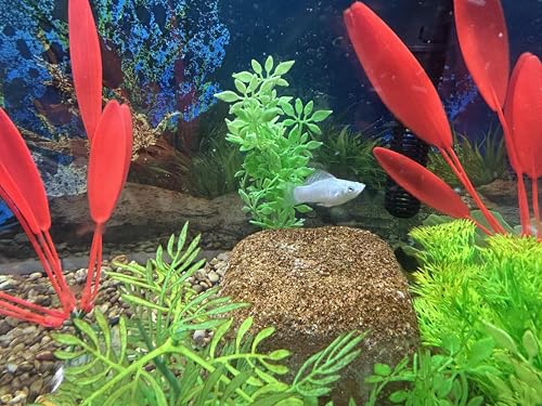 EcoBio-Block Aquarium Stone for Natural Water Clarification and Odor Removal Featuring Beneficial Microlife (Nano)