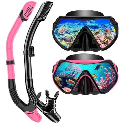 Snorkeling Gear for Adults, Dry-Top Snorkel Set Scuba Diving mask, 180°Panoramic Wide View Professional Snorkeling Gear Br...