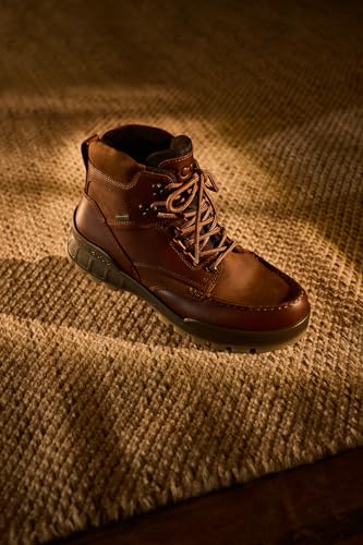 ECCO mens Track 25 High Gore-tex Waterproof Hiking Boot
