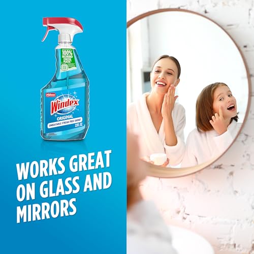 Windex Glass and Window Cleaner Spray Bottle, Packaging Designed to Prevent Leakage and Breaking, Surface Cleaning Spray, ...