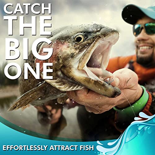 Feeder Creek Fly Fishing Flies - Trout & Bass Assortment - Adams Dry Fly Pattern