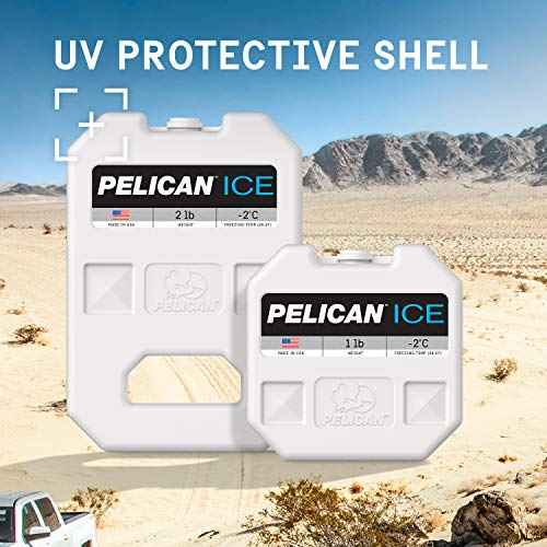 Pelican Ice