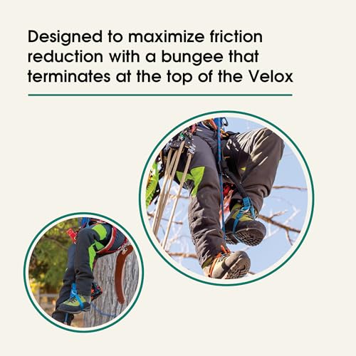 Weaver Arborist Nylon Foot Ascender Tree Climbing Sling, Short, HAAS Velox Rope Ascender System, Zero Setup, Durable Arbor...
