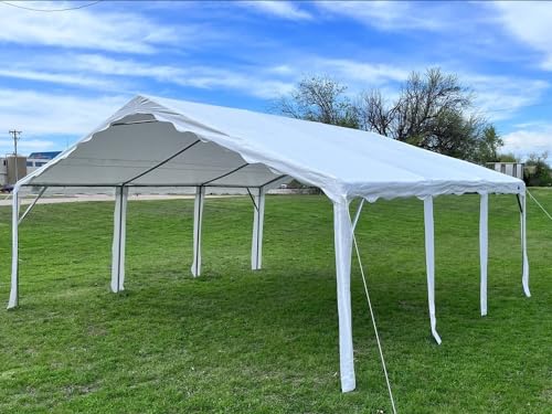 DELTA Canopies Budget PE Waterproof Wedding Party Tent Canopy Shelter (20'x20' PE Budget-B)