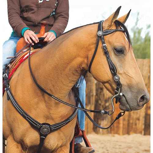 Weaver Leather Back in Split Reins, Black, Small