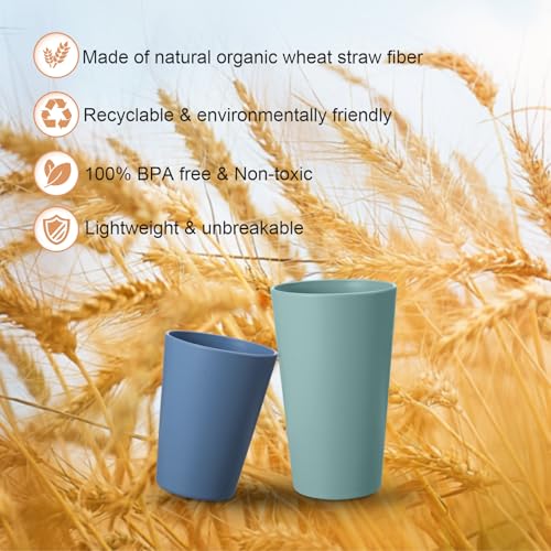 HEYCOME Set of 12 Wheat Straw Cups, 6 Pcs 20 oz & 6 Pcs 12 oz Unbreakable Drinking Cups, Reusable Plastic Cups Sets, Water...