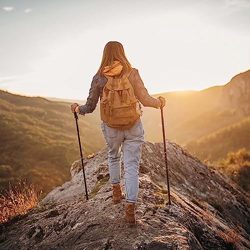 2 Pcs Trekking Poles,Aluminum Lightweight Collapsible Hiking Poles for Women,Walking Sticks for Hiking Carbon Fiber