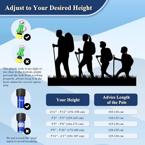 TheFitLife Nordic Walking Trekking Poles - 2 Sticks with Anti-Shock and Quick Lock System, Telescopic, Collapsible, Ultral...