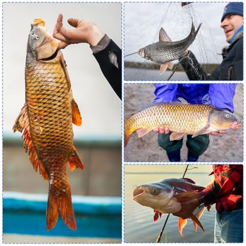 Fishing Lure for Bass, Top Water Fishing Lures with Floating Rotating, Unique Topwater Fishing Lure, Top Water Lures with ...