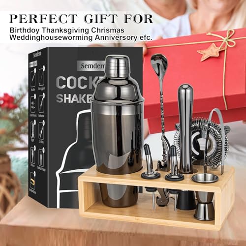 Cocktail Shaker Set, Mixology Bartender Kit 10-Piece Bar Tools Set with Stylish Bamboo Stand, Bar kit: Martini Shaker Mudd...
