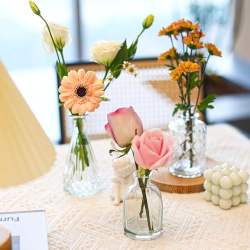 Arme 16Pcs Glass Bud Vase Set，Small Flower Vase for Centerpieces，Clear Bud Vases in Bulk， Mini Vintage Vase for Rustic Wed...