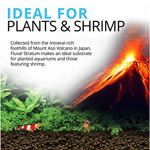 Fluval 12694 Plant and Shrimp Stratum for Freshwater Fish Tanks, 8.8 lbs. – Aquarium Substrate for Strong Plant Growth, Su...