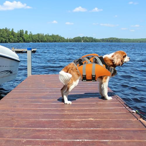 Kuoser High Visibility Dog Life Jacket with Reflective Stripes, Adjustable Ripstop Pet Life Preserver Swimsuit for Small, ...