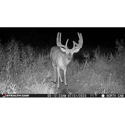 STEALTH CAM Fusion X-Pro Dual Sim 36 MP Photo & 720P HD Video 0.4 Sec Trigger Speed Wireless Hunting Trail Camera - Available on AT&T & Verizon