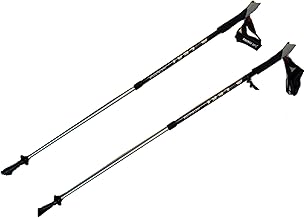 LEKI Nordic Walking Instructor Trekking Pole