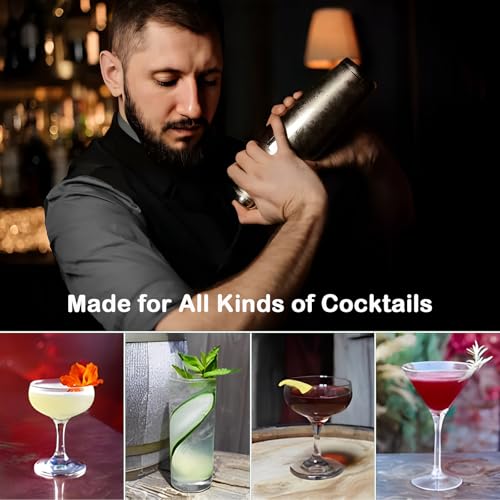 Restole 10-Piece Cocktail Shaker Bartender Kit - Elegant Drink Mixer Set Muddler Jigger Strainer, Dishwasher Safe, for Hou...