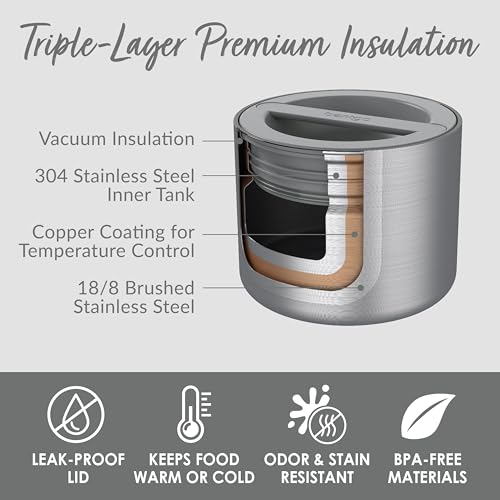 Bentgo Stainless Insulated Food Container - 2.4 Cups (19 oz), Triple-Layer Insulation, Vacuum Seal, Leak-Proof, Built-In H...