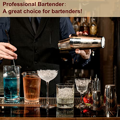 Lallisa 10 Pieces Cocktail Shakers Professional Bar Boston Shaker Set Stainless Steel Martini Shaker Drink Mixer Basic Too...