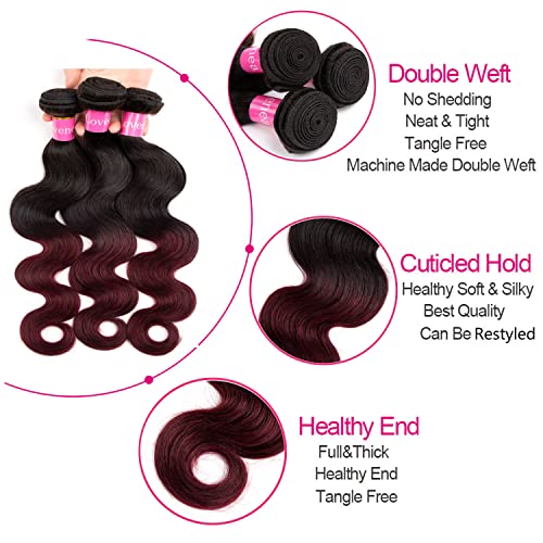 2 Tone Ombre Body Wave Human Hair 3 Bundles with 4x4 Lace Closure 100% Brazilian Remy Virgin Hair Body Wave Human Hair Bundles with 4x4 Free Part Lace Closure(T1B/99J, 10 12 14+10)