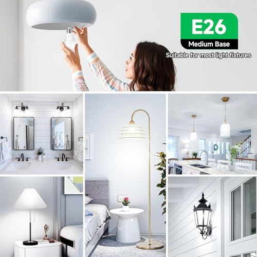 MAXvolador 12-Pack A19 LED Light Bulbs, 100 Watt Equivalent LED Bulb, 5000K Daylight White, 1100 Lumens, E26 Medium Base, ...