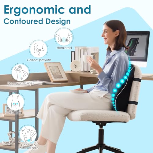 Niceeday Lumbar Support Pillow for Office Chair Car Back Support Pillow, Memory Foam Gaming Chair Desk Chair Back Cushion ...