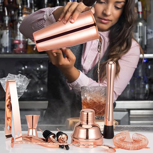 Cocktail Shaker Set, Mixology Bartender Kit 10-Piece Bar Tools Set with Stylish Bamboo Stand, Bar kit: Martini Shaker Mudd...