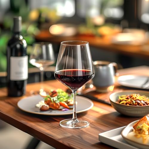 Hlukana Unbreakable Wine Glasses Set of 6, 16 oz Plastic Wine Glasses with Stem, BPA Free, Reusable Wine Glass for Poolsid...