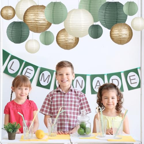zilue Paper Lanterns Decorative, Round Hanging Paper Lanterns Decorations for Rustic Party Bridal Shower Wedding Sage Gree...