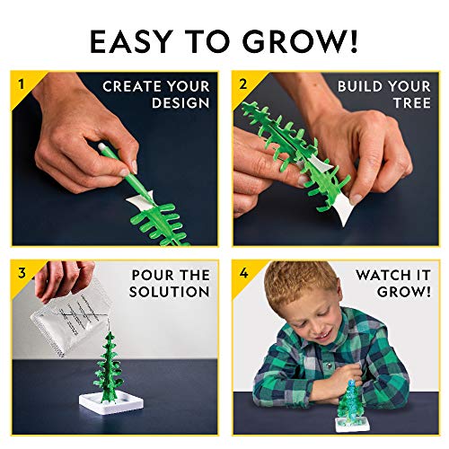 National Geographic Craft Kits for Kids - Crystal Growing Kit - Grow a Crystal Garden in Just 6 Hours, Educational Craft I...
