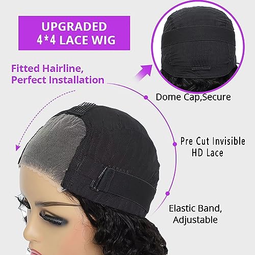Glueless Wigs Human Hair Pre Plucked Pre Cut 4/27 Highlight Ombre Honey Blonde Curly Wigs Human Hair for Beginners 4x4 Deep Wave Lace Closure Glueless Wigs for Black Women 16 Inch
