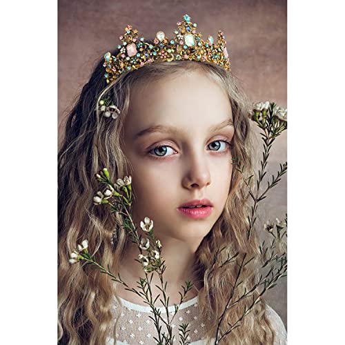 Didder Baroque Vintage Crowns and Tiaras - Royal Princess Crowns for Girls and Women - Wedding, Halloween, Christmas, Pro...