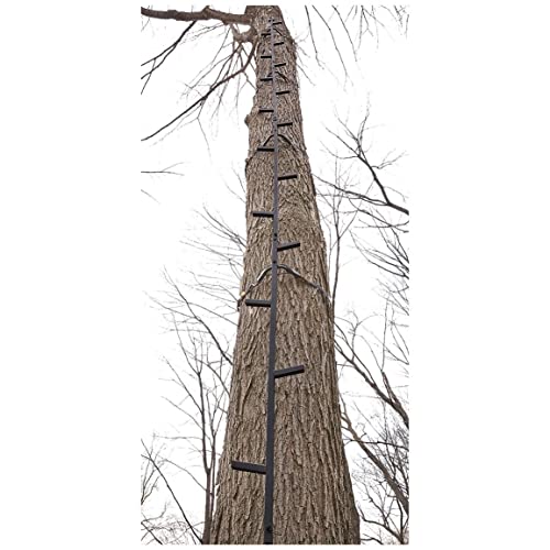 Guide Gear Climbing Stick Ladder for Tree Stands, Climbing Equipment for Deer Hunting, 25’
