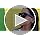 EDGEIWEAR 80s Neon Party Sunglasses for Adult Party Favors with CPSIA certified-Lead(Pb) Content Free