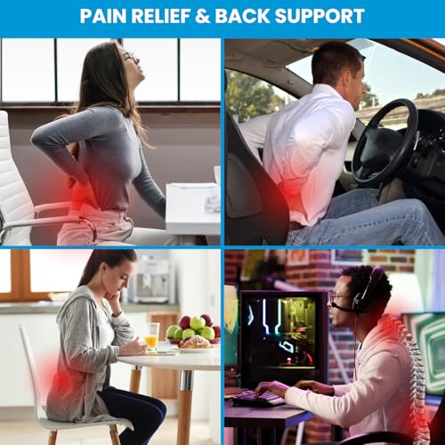 Lumbar Support Pillow for Office Chair, Office Home Essentials,Gifts for Mom,Dad, Back Support Pillow for Car, Chair Cushi...