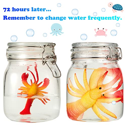 Outus 8 Pieces Growing Animal Creature Expandable Giant Grow 3D Water Creature Set Easter Egg Basket Filler Grow in Water ...