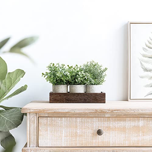 Dahey 3 Pack Mini Potted Artificial Eucalyptus Fake Plants with Wood Tray Centerpiece Table Decorations, Farmhouse Pulp Fl...