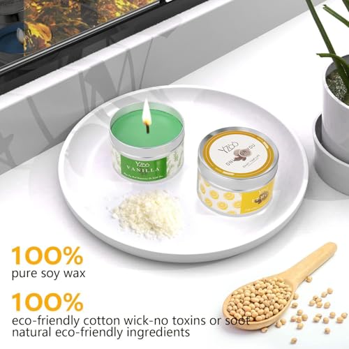 Complete Candle Making Kits for Adults Beginners, DIY Candle Making Supplies Include Soy Wax,Wax Melter,Scents,Dyes,Wicks,...