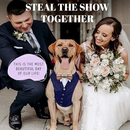 AVERYDAY Dog Tuxedo for Wedding Outfit, Dog Suit and Tie Costumes for Birthday, Halloween, Cosplay, Christmas Party, Pet F...