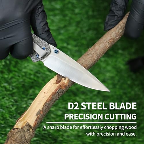 ALBATROSS D2 Steel Folding Pocket Knife with Liner Lock - Premium EDC Tactical Knife for Camping, Hunting and Outdoor Adve...