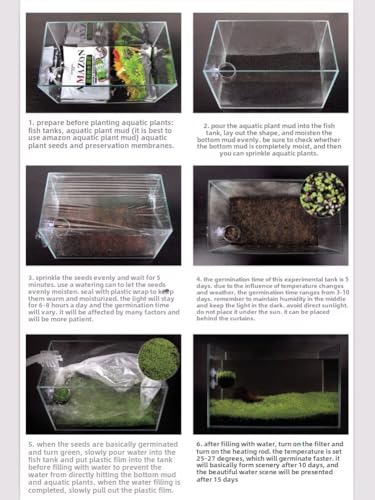 MISUHALOU Aquarium G-r-a-s-s P-l-a-n-t - 3 Pack | Easy-Growing Water P-l-a-n-t for Fish Tank Aquarium
